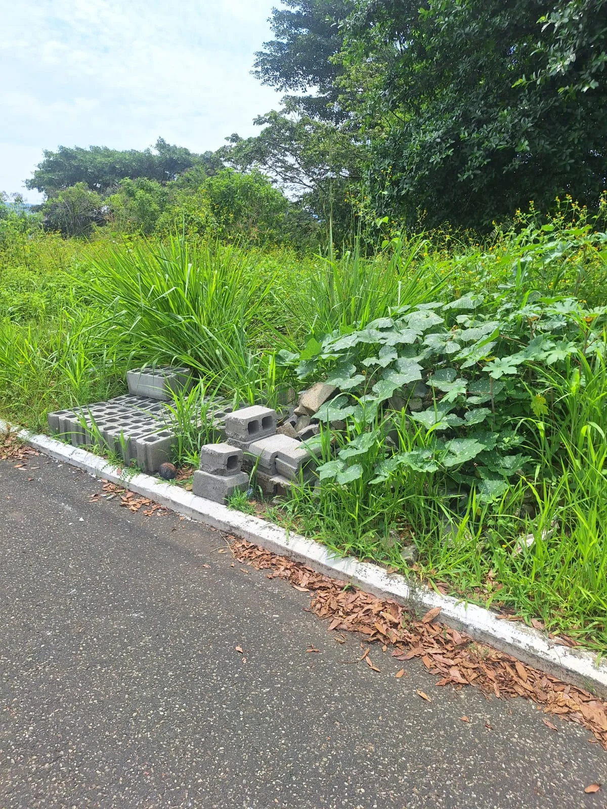 Terreno en amate blanco el cerinal  — foto 1